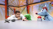 Woozle (re.) hat das Ei einer kuscheligen Woozlinger Flausch-Echse mit ins Studio gebracht, aber Sim&oacute;n (li.) ist skeptisch. Und tats&auml;chlich: Woozle br&uuml;tet stattdessen aus Versehen ein be&auml;ngstigendes Chawoozleon (mi.) aus, das gleich darauf auch noch verschwindet! Ob die beiden es einfangen k&ouml;nnen, bevor es das ganze Studio verw&uuml;stet?