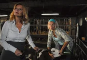 Elisabeths (Claudine Wilde) Kollegin und Freundin Margit (Kim Fisher, li.) kann nicht recht verstehen, was die Gro&szlig;stadtanw&auml;ltin am Landleben so reizvoll findet.