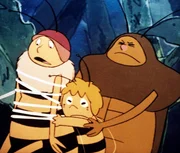 Die Wespe ist mit dem Lasso gefangen worden; kann Maja sie befreien?