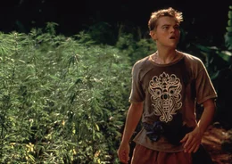 Das erste was Richard (Leonardo DiCaprio) auf der geheimnisvollen Insel entdeckt, ist ein riesiges Marihuana-Feld, das jedoch sehr streng bewacht wird, wie er feststellen muss ...