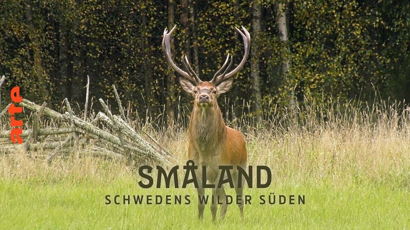 Småland - Schwedens wilder Süden (S, 2024)