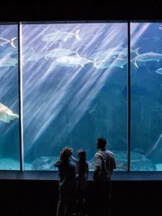 Happy family looking at the fish tank