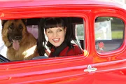 Das Team ermittelt in einem Fall von Drogenschmuggel, als McGee von einem Hund angefallen und verletzt wird. Abby (Pauley Perrette) setzt daraufhin ihre Karriere aufs Spiel, um zu beweisen, dass der Hund nicht wirklich aggressiv ist ...