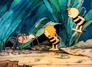 2. Ob der Weberknecht Erfahrung mit Küchenschaben hat? 2. Ob der Weberknecht Erfahrung mit Küchenschaben hat?