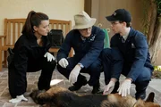 K&uuml;mmern sich um den Sch&auml;ferhund, den McGee in Notwehr angeschossen hat: Ziva (Cote de Pablo, l.), Ducky (David McCallum, M.) und Jimmy (Brian Dietzen, r.) ...