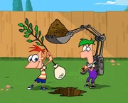 Phineas (l.) und Ferb