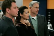 Versuchen einen neuen Fall zu l&ouml;sen: Gibbs (Mark Harmon, r.), Tony (Michael Weatherly, l.) und Ziva (Cote de Pablo, M.) ...