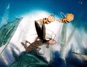 Eine Küchenschabe kann schnell laufen, - aber kann sie fliegen? Eine Küchenschabe kann schnell laufen, - aber kann sie fliegen?