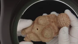 Die Venus von Willendorf, aus dem Naturhistorisches Museum Wien, Schutzfigur oder Fruchtbarkeitssymbol?