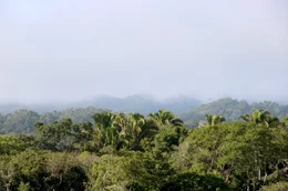 Tief im Urwald Mittelamerikas verborgen liegen seit Jahrhunderten die Pyramiden der Maya, einer faszinierenden Hochkultur.