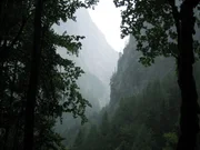 Universum: "Hallstatt - Ein Leben zwischen Fels und See". Die Hallstatt-Dachstein-Region - landschaftliche Idylle zwischen Fels und See und eine der &auml;ltesten Kulturlandschaften der Menschheit. Mit nachinszenierten Darstellungen und realen Naturaufnahmen l&auml;sst Regisseur Wolfgang Thaler diese Region von der Hallstattzeit bis in die Gegenwart lebendig werden.