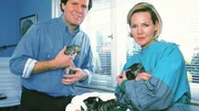 Nur gute Freunde? Dr. Stefan Frank (Sigmar Solbach) und Tier&auml;rztin Dr. Susanne Berger (Daniela Strietzel).