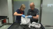 Customs and plant protection officers (protagonists) examine a giant's suitcase at Frankfurt Airport.