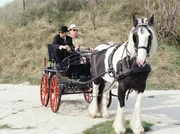 NDR Fernsehen PFARRER BRAUN: DAS SKELETT IN DEN D&Uuml;NEN, am Sonntag (23.05.10) um 23:15 Uhr. Pfarrer Braun (Ottfried Fischer, re.) und sein Messner Armin (Antonio Wannek) in geheimer Mission.