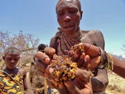 Honig ist au&szlig;erdem die einzige S&uuml;&szlig;igkeit, die die Hadzabe kennen.