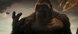 Kong