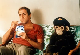 Ausgerechnet er muss sich in eine Prinzessin verlieben: Busfahrer Barnaba Cecchini (Adriano Celentano)...