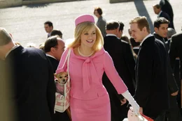 Elle (Reese Witherspoon) macht sich auf den Weg nach Washington, um im Zentrum der Macht die Dinge in die H&auml;nde zu nehmen. Dabei sticht sie aus dem modischen Einheitsbrei grau-schwarz-dunkel-blauer B&uuml;rokraten wie eine exotische, pinkfarbene Blume hervor.