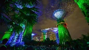 Supertrees Lightshow: Die futuristisch artifiziellen Supertrees im "Gardens by the Bay" bei der jeden Abend stattfindenden Lichtshow
