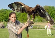 Mit einem Trick ist es Susanne Mertens (Elisabeth Lanz) gelungen, den Steinadler zu fangen.