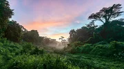 Der "Clementi Forest" ist ein 85 ha gro&szlig;er, fast unber&uuml;hrter Wald- und Naturabschnitt im dicht besiedelten Singapur