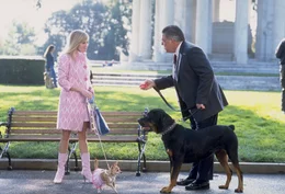 W&auml;hrend eines Hundespaziergangs lernt Elle (Reese Witherspoon, l.) den republikanischen Abgeordneten Stanford Marks (Bruce McGill, r.) kennen und H&uuml;ndchen Brutus den Rottweiler des Politikers. Sogleich verliebt sich die niedliche Hundedame in das staatliche M&auml;nnchen, doch dann entpuppt sich dieser als homosexuell ...