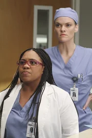 Ein Vortragereihe wird wieder eingef&uuml;hrt: Bailey erz&auml;hlt von ihrer Assistenzzeit, als sie erst drei Tage am Seattle Grace arbeitete und gro&szlig;e Schwierigkeiten mit Dr. Nicole Baylow hatte.