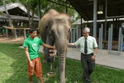 Mosha ist Dauerpatient im Elefantenkrankenhaus von Lampang und weltweit einer von zwei Elefanten mit einer Beinprothese. Entwickelt wurde die Prothese von Prof. Dr. Jivacate Therdchai (rechts).