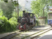 Schmalspur-Zahnrad-Dampflokomotive bei der Einfahrt in den Bahnhof von Diakofto.