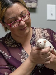 Pumpkin and Spice have been brought into the clinic for a mass removal.