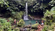 Freibad á la Dominica: Im Regenwald gibt es viele, versteckte „Nature-Pools“. Freibad á la Dominica: Im Regenwald gibt es viele, versteckte „Nature-Pools“.