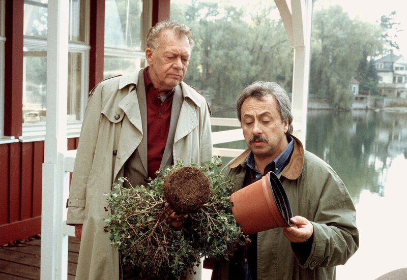 Ein Stück vom Glück (D, 2001)