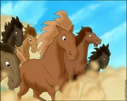 Ungarische Wildpferde finden ihre neue Heimat auf dem Martinshof.