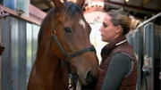 Tierarzthelferin Sabrina Buhs macht ihr elf Jahre altes Pferd Happy Sorgen.
