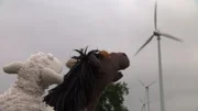 Pferd und Wolle machen sich auf G&uuml;nnis Tipp hin auf zu einem Windpark.
