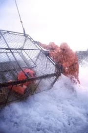 John 'Rambo' Mavar and Cory Ackerman.
