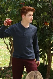 Ger&auml;t mit seinen Geschwistern mal wieder in Streit: Chip (Thomas Barbusca) ...