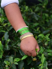 A local woman in Darjeeling, India, is picking green tea with bare hands.