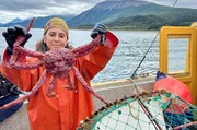 Liz Consentino f&auml;ngt im Beagle-Kanal eine K&ouml;nigskrabbe aus Patagonien &ndash; sie z&auml;hlt zu den gef&auml;hrdetsten Meeresbewohnern der Region.