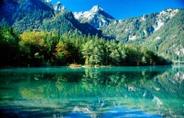Offensee.