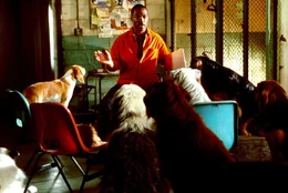 Dolittle (Eddie Murphy) bespricht mit den Tieren Potters Angebot, zehn Hektar des Waldes als Naturschutzgebiet zu belassen. Doch die Tiere finden das viel zu wenig...