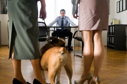 Allein mit den zwei Kindern, einem Hund, den er nicht ausstehen kann und einer &auml;u&szlig;erst attraktiven Assistentin, die erobert werden will, st&ouml;&szlig;t Max (Max Tidof) schon bald an die Grenzen seiner Leistungsf&auml;higkeit ...