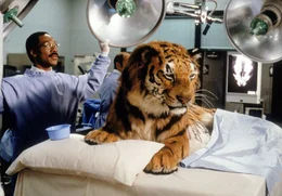 Der schwer unter Stress stehende Dr. Dolittle (Eddie Murphy) muss einen lebens&uuml;berdr&uuml;ssigen Tiger kurieren.