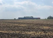 Fahrt durch die Puzta &ndash; das gr&ouml;&szlig;te Steppengebiet Mitteleuropas.