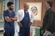 (v.l.n.r.) Dr. Winston Ndugu (Anthony Hill); Dr. Richard Webber (James Pickens jr.); Mike Purdy (Brady Smith)