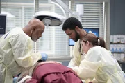 Grey's Anatomy Staffel 21 Folge 16 &mdash; Untersuchen eine verletzte Lunge: James Pickens Jr. als Dr. Richard Webber, Anthony Hill als Dr. Winston Ndugu, Adelaide Kane als Dr. Jules Millin.