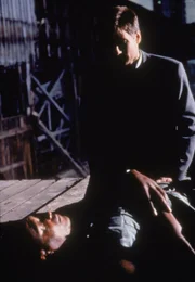 Fox Mulder (David Duchovny, r.) Fox Mulder (David Duchovny, r.)