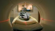CT-Scans enth&uuml;llen die Anatomie von Dinosauriersch&auml;deln.