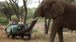 Robin (Andrew Garfield) und Diane (Claire Foy) genie&szlig;en ihre Zeit in Afrika.