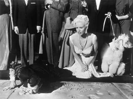 Rita Marlowe (Jayne Mansfield)